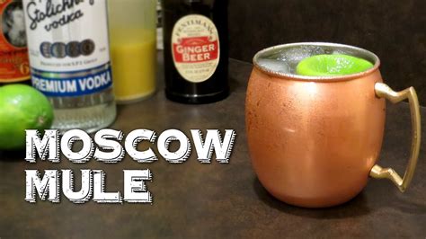 Moscow Mule Recipe Ginger Beer Alcoholic | Besto Blog