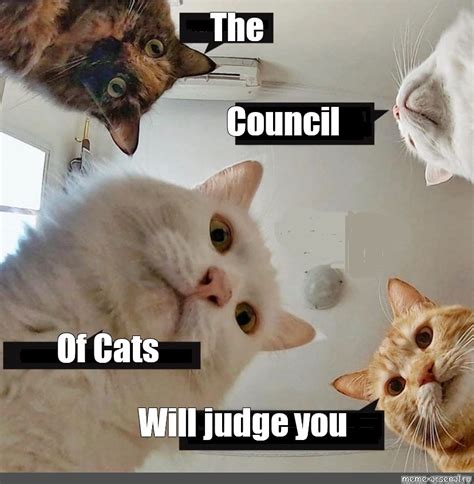 Meme: "The Council Of Cats Will judge you" - All Templates - Meme ...