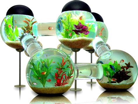 Fish Tank HD desktop wallpaper : Widescreen : High Definition : Fullscreen