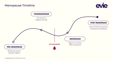 What Is Perimenopause? Age, Symptoms, Treatment & More – Evie