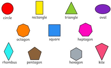 Difference Between 2D And 3D Shapes With Examples - VIVA DIFFERENCES