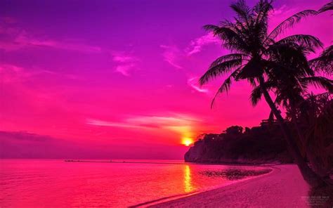 Pink Beach Sunset Wallpaper - WallpaperSafari | Beach sunset wallpaper, Sunset wallpaper, Pink ...