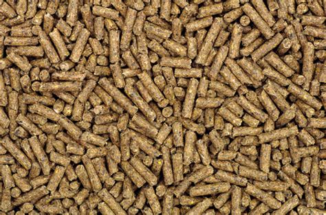 Hay Pellets for Horses | Sacate Pellet Mills, Inc.