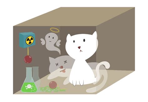 For Dummies: Schrödinger’s Cat Paradox explained - Cultura Colectiva