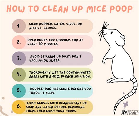 Is Mouse Poop Dangerous To Dogs