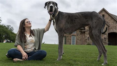 Aussies set Guinness world records | KidsNews