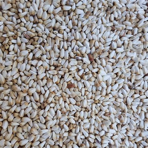 Seed Safflower – Absolutely Nuts Australia