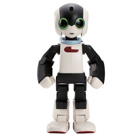 CURRENT EMPATHIC-COMFORT ROBOTS: TRACK 2: EMOTIVE COMFORT ROBOTS ...