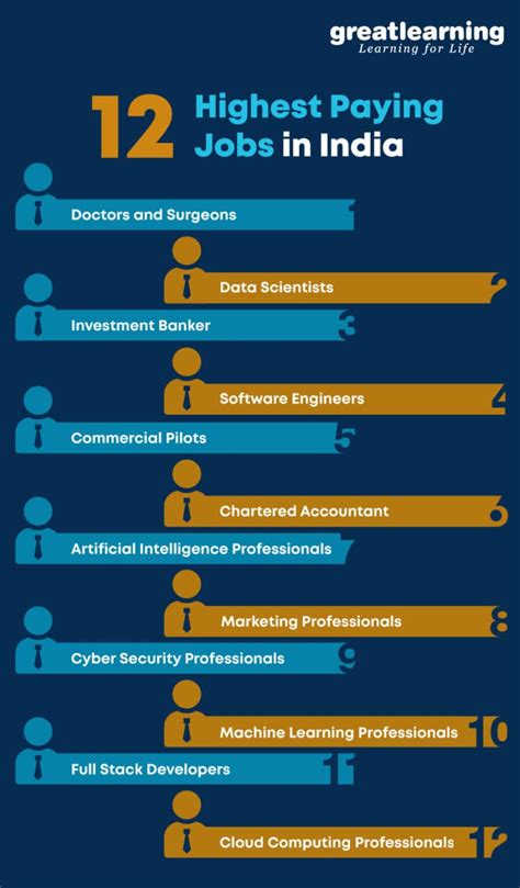 Highest Paid Careers 2024 - Casi Martie