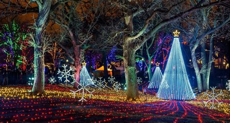 Chicago's Beloved ZooLights Experience Has Returned To Lincoln Park Zoo ...