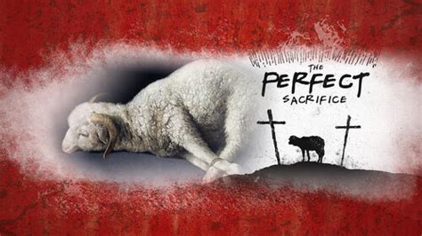 The Passover Lamb – Church of the Living Word