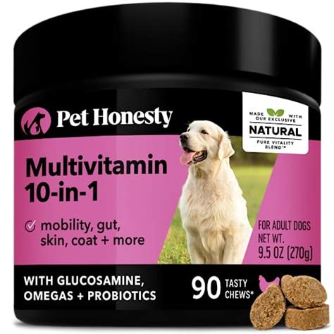 10 Best Multivitamin For Dogs Of 2023 – Glory Cycles