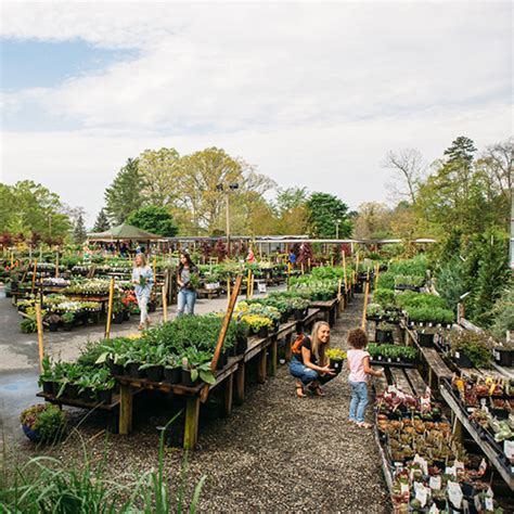 Plant Nursery Asheville, NC | B.B. Barns