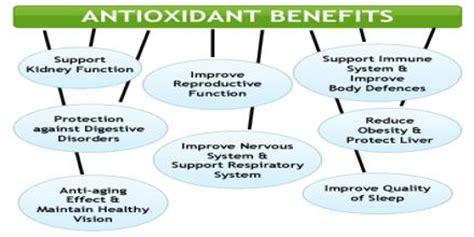 Benefits of Antioxidants - Assignment Point