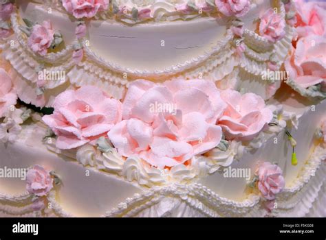 Cake detail, Oregon State Fair, Salem, Oregon Stock Photo - Alamy