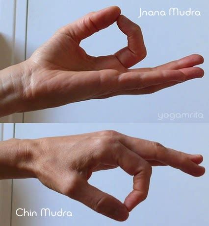 Legacy of Wisdom: Jnana Mudra and Chin Mudra