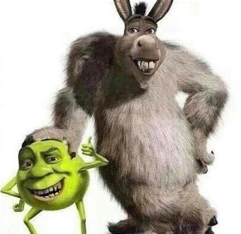 Shrek and Donkey + Mike Wazowski and James P. Sullivan = | Fandom