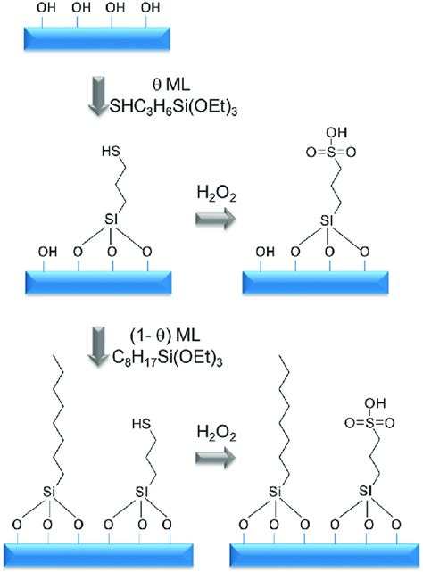 Scheme 5 Protocol for the synthesis of sulfonic acid and octyl... | Download Scientific Diagram