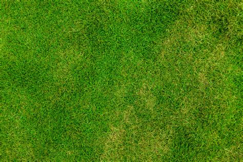 Grass Pattern Free Stock Photo - Public Domain Pictures