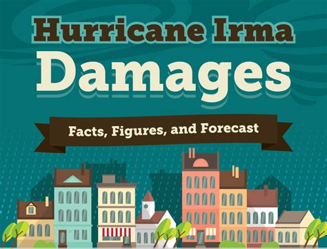 What Was The Damage Caused By Hurricane Irma Infographic