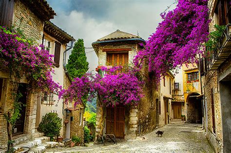 French Landscapes that Inspired Famous Artists | EF Go Ahead Tours