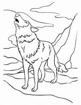 Wolf Dog Coloring Pages sketch template