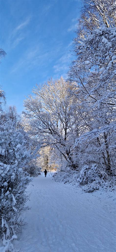 Walking a snowy path Inverness Highlands Scotland by MyGranny4 on DeviantArt