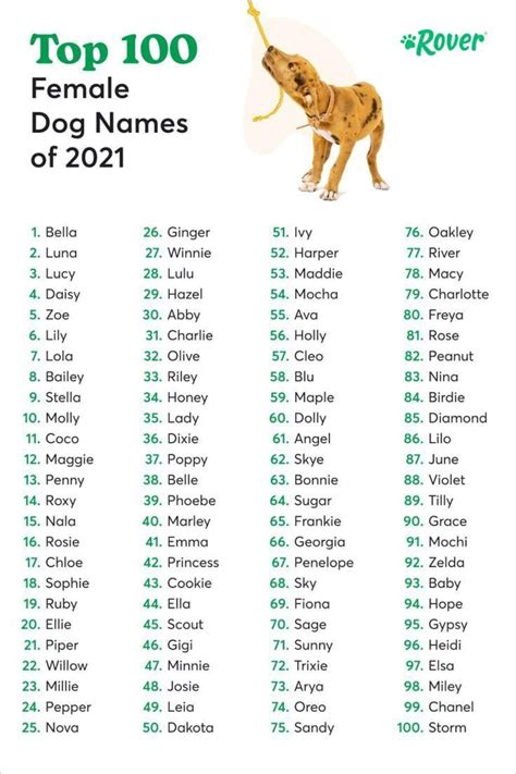 200 badass girl dog names – Artofit