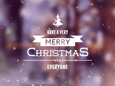 Have A Very Merry Christmas Everyone Pictures, Photos, and Images for Facebook, Tumblr ...