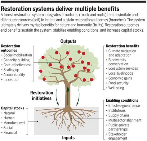 Restoring forests as a means to many ends | Science