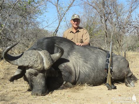 Cape Buffalo Hunt South Africa | AfricaHunting.com