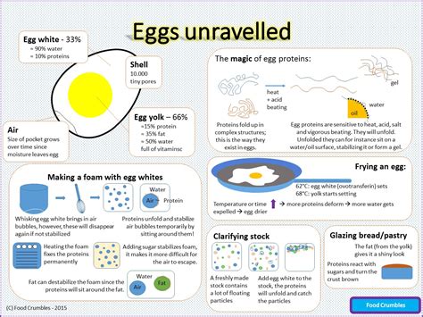 Science of Eggs Explained in One Image (Infographic) - FoodCrumbles