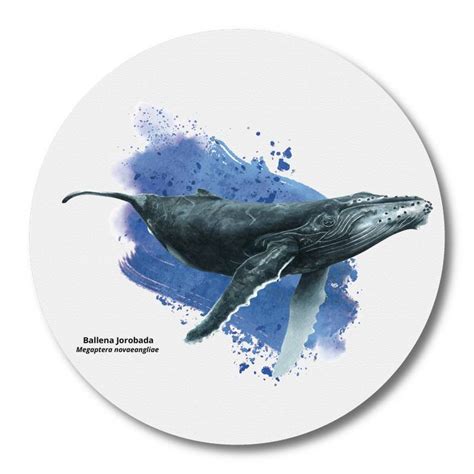 BENDITO Mousepad Ballena Jorobada | falabella.com