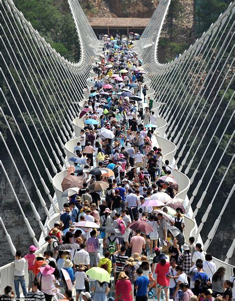 World's longest and highest glass bridge opens in China's 'Avatar ...