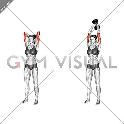 Dumbbell Standing Triceps Extension (female)