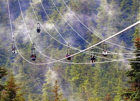 more riding - Picture of Icy Strait Point ZipRider, Hoonah - TripAdvisor