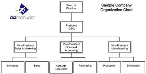 Accounting Department Organization Chart - What It Is & Why You Need It