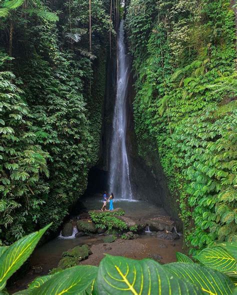 Bedugul and Waterfall Tour - Bali Om Tours