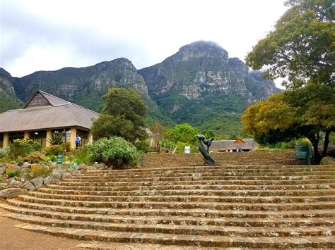 Visiting Kirstenbosch Garden-Cape Town - Obligatory Traveler