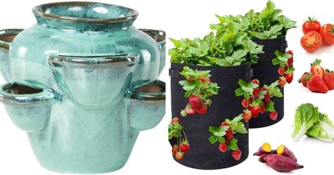 5 Best Strawberry Containers to Grow in Small Spaces – Strawberry Plants