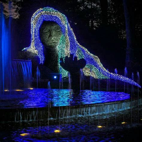 Callaway Resort And Gardens Christmas Lights – Beautiful Flower ...