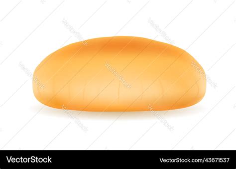 Fresh crispy burger bun stock Royalty Free Vector Image