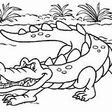 Crocodile Coloring Pages Kids sketch template