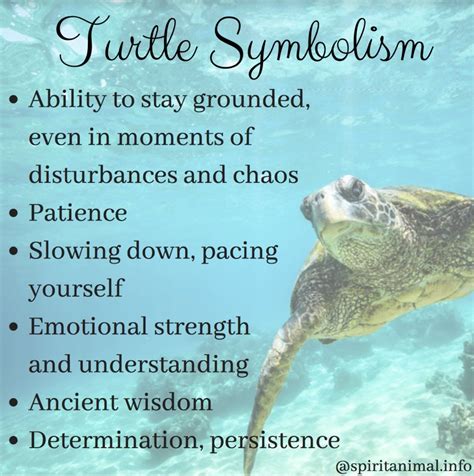 a turtle swimming in the ocean with words below it that read turtle symbolism ability to stay ...