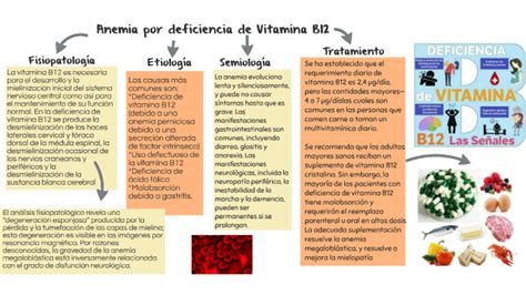 Anemia por deficiencia de Vitamina B12 by Ale Hérnandez on Prezi