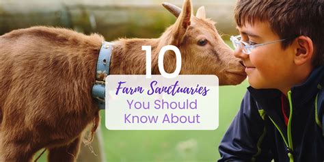 10 Farm Sanctuaries You Should Know About