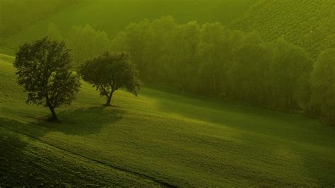 Green Nature 3D HD Wallpapers For Your Windows 8 | Places to Visit | Pinterest | Nature 3d, Hd ...