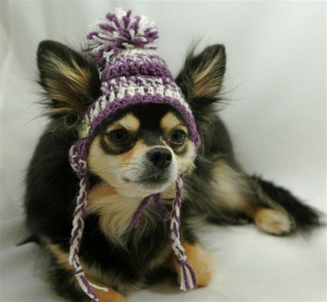 Free Crochet Pattern For Dog Hat Web Crochet Dog Sweater Free Pattern ...