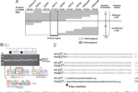 Germ-Line Mutation | Semantic Scholar