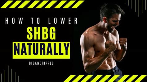 How to Lower SHBG Naturally and Boost Free Testosterone?